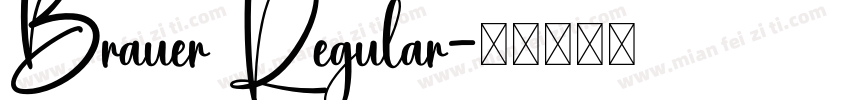 Brauer Regular字体转换